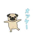 [オッケー専用]パグパグ（個別スタンプ：1）
