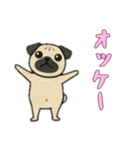 [オッケー専用]パグパグ（個別スタンプ：4）