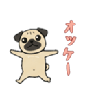 [オッケー専用]パグパグ（個別スタンプ：5）