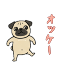 [オッケー専用]パグパグ（個別スタンプ：6）