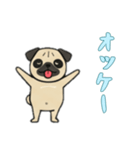 [オッケー専用]パグパグ（個別スタンプ：9）