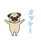[オッケー専用]パグパグ（個別スタンプ：10）