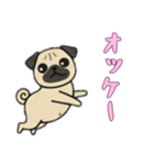 [オッケー専用]パグパグ（個別スタンプ：11）