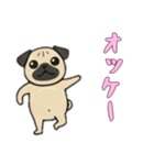 [オッケー専用]パグパグ（個別スタンプ：12）