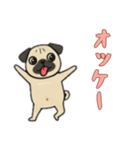 [オッケー専用]パグパグ（個別スタンプ：13）