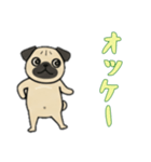 [オッケー専用]パグパグ（個別スタンプ：15）