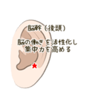 耳つぼスタンプ（個別スタンプ：13）