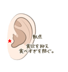 耳つぼスタンプ（個別スタンプ：16）