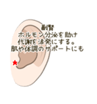 耳つぼスタンプ（個別スタンプ：17）