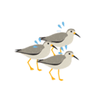 元気な野鳥たち（個別スタンプ：5）