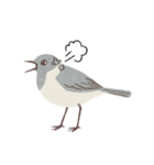 元気な野鳥たち（個別スタンプ：6）