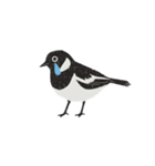 元気な野鳥たち（個別スタンプ：8）