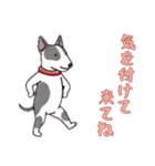 [気を付けて来てね専用]ブルテリア（個別スタンプ：2）