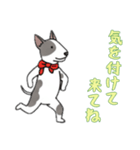 [気を付けて来てね専用]ブルテリア（個別スタンプ：5）