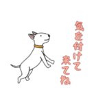 [気を付けて来てね専用]ブルテリア（個別スタンプ：6）