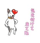 [気を付けて来てね専用]ブルテリア（個別スタンプ：7）