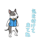 [気を付けて来てね専用]ブルテリア（個別スタンプ：8）