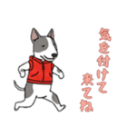 [気を付けて来てね専用]ブルテリア（個別スタンプ：10）