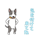 [気を付けて来てね専用]ブルテリア（個別スタンプ：12）