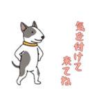 [気を付けて来てね専用]ブルテリア（個別スタンプ：14）