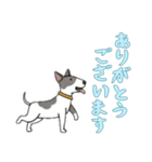 [ありがとうございます専用]ブルテリア（個別スタンプ：1）