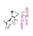 [ありがとうございます専用]ブルテリア（個別スタンプ：3）