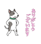 [ありがとうございます専用]ブルテリア（個別スタンプ：4）