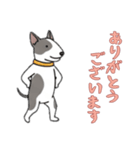 [ありがとうございます専用]ブルテリア（個別スタンプ：5）