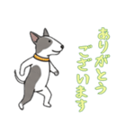 [ありがとうございます専用]ブルテリア（個別スタンプ：8）