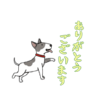 [ありがとうございます専用]ブルテリア（個別スタンプ：9）