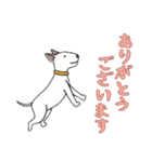 [ありがとうございます専用]ブルテリア（個別スタンプ：12）