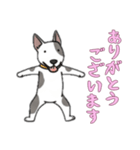 [ありがとうございます専用]ブルテリア（個別スタンプ：13）