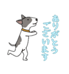 [ありがとうございます専用]ブルテリア（個別スタンプ：15）