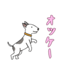 [オッケー専用]ブルテリア（個別スタンプ：1）