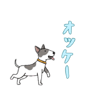 [オッケー専用]ブルテリア（個別スタンプ：2）