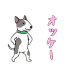 [オッケー専用]ブルテリア（個別スタンプ：3）