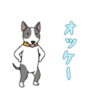 [オッケー専用]ブルテリア（個別スタンプ：4）