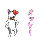[オッケー専用]ブルテリア（個別スタンプ：5）