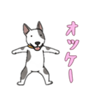 [オッケー専用]ブルテリア（個別スタンプ：7）