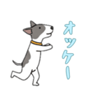 [オッケー専用]ブルテリア（個別スタンプ：8）