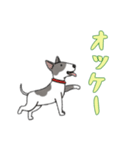 [オッケー専用]ブルテリア（個別スタンプ：9）