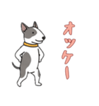 [オッケー専用]ブルテリア（個別スタンプ：10）