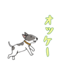 [オッケー専用]ブルテリア（個別スタンプ：11）