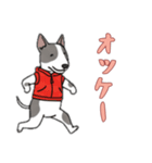 [オッケー専用]ブルテリア（個別スタンプ：12）