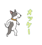 [オッケー専用]ブルテリア（個別スタンプ：13）
