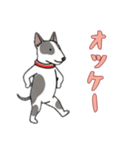 [オッケー専用]ブルテリア（個別スタンプ：14）