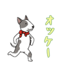 [オッケー専用]ブルテリア（個別スタンプ：15）