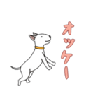 [オッケー専用]ブルテリア（個別スタンプ：16）