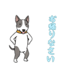 [お帰りなさい専用]ブルテリア（個別スタンプ：1）