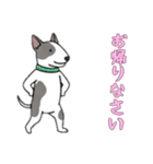 [お帰りなさい専用]ブルテリア（個別スタンプ：2）